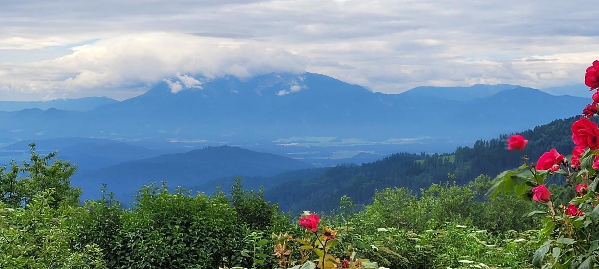 Gasthof Machwirth Griffen Bagian luar foto